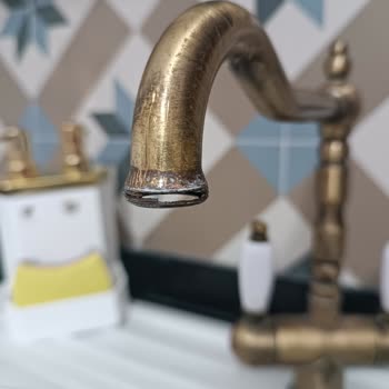 Franke Old England Faucet Sprays Water