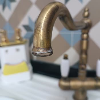 Franke Old England Faucet Sprays Water