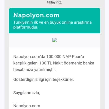 Napolyon.com Ne Yapmak İstiyor