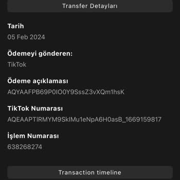 Payoneere Param Düşmüyor