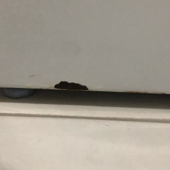 Siemens Marka Paslanma Sorunu