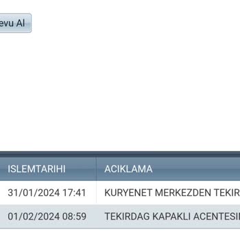 Kuryenet Nasıl Bir Firmasınız