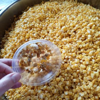 SuperFresh Donmuş Mısır İlgilinizi Bekliyoruz