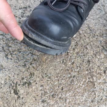 Trendyol Cat Bot Taban Açılması