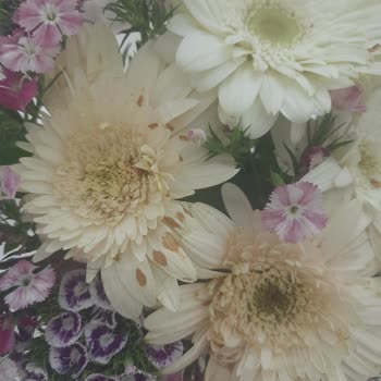 Çiçek Sepeti Çürük Çiçek Gönderiyor