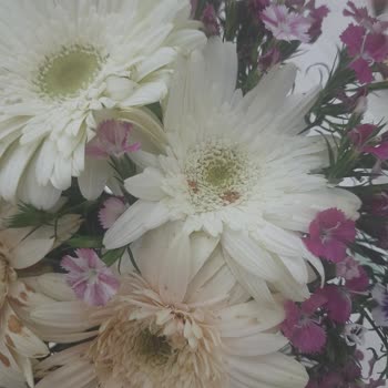 Çiçek Sepeti Çürük Çiçek Gönderiyor