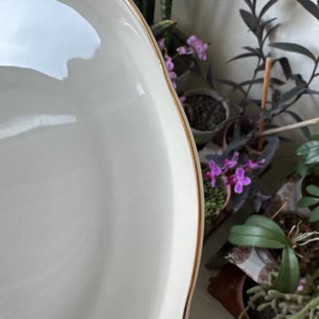 Korkmaz Manolya Yemek Takımında Üretim Hataları Var!