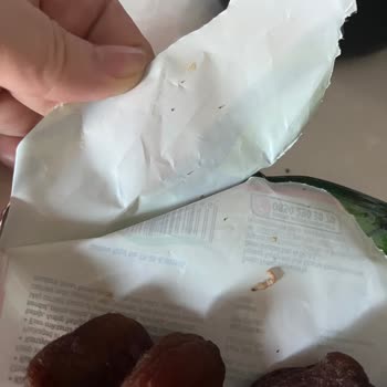 Peyman Günkurusu Kurtlu Çıktı