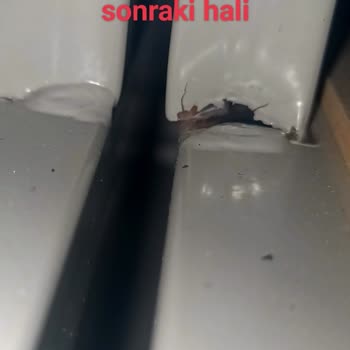 Mondihome Pişmanlık Eski Kalitesinden Eser Yok.?