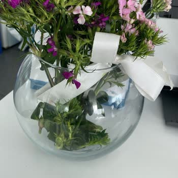 @cicekmarket.com Pişmanlıktır! Paranı Çöpe Atma. Susuz Çiçek Gönderdi