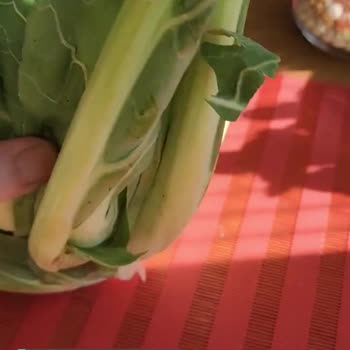 Migros'tan Sebze Almaya Korkuyorum!