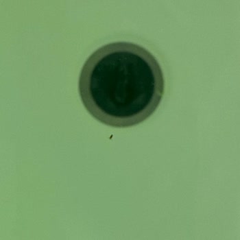 Özgül Termal Deyim Yerindeyse Tamamen 'Paranızla Rezil Olmak'