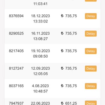 Temizmama.com Mito Kedi Maması Kalite Oyunu