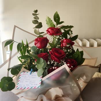 Mangelnde Professionalität und Fehlkommunikation bei Osevio