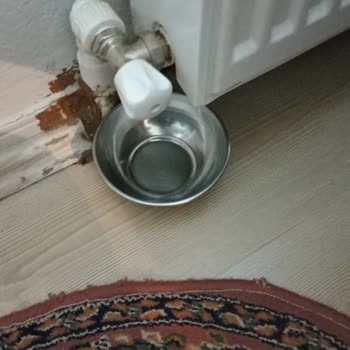 Meta Doğalgaz İşçilik Çok Kötü