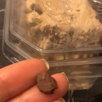 Seyidoğlu Gıda Seyidoğlu Fıstıklı Tahin Helva'dan Taş Çıktı