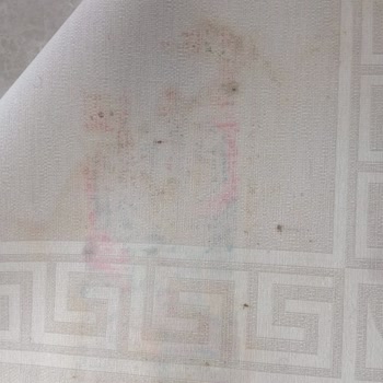 Pierre Cardin Halı Leke Çıkmıyor