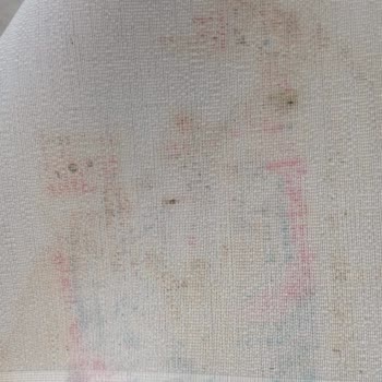 Pierre Cardin Halı Leke Çıkmıyor