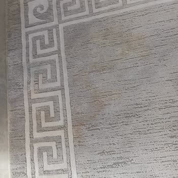 Pierre Cardin Halı Leke Çıkmıyor