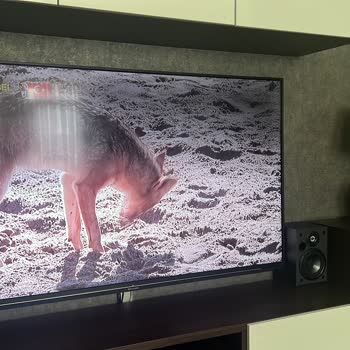 Grundig 65 İnc TV'de Gölge Ve Kararma Sorunu