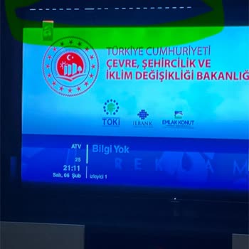 Grundig 65 İnc TV'de Gölge Ve Kararma Sorunu