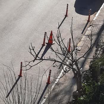 Pendik Belediyesi Güzelyalı Mahallesi'nde Park Sorunu Ve Duba Şikayeti