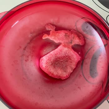 Tupperware Mikrodalga Ürünü Mikrodalga'da Eridi