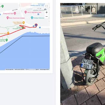 Martı Yanlış Park Cezası