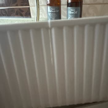 Madame Coco Bambu Kapaklı Mika Saklama Kabı Kullanmadan Kırılması