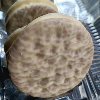 Ülker Beyaz Çikolatalı Halley Hayal Kırıklığı