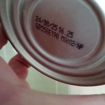 Proline Mama Proline Deneyimim Sonucu Pişmanlıkla Sonuçlandı.