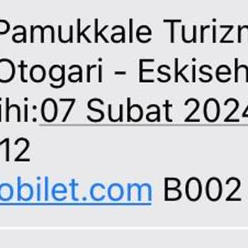 Pamukkale Turizm Biletim İptal Olduğu Halde Bilgilendirme Yapılmıyor