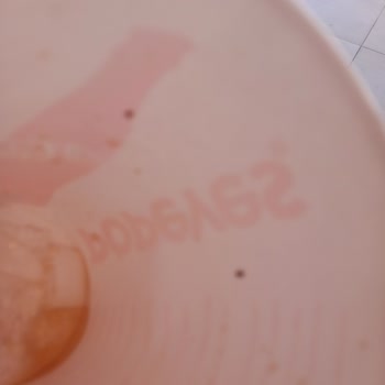 Popeyes Kova Menüsünde Şaşırtan Misafir!