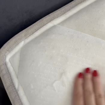 Dyson V10 Koltuk Ve Yatağıma Zarar Verdi