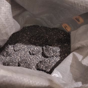 Pro Line 20 Litre Kedi Kumu Topaklanmış Halde Geliyor