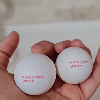 Kozlu Gıda Kozlu Yumurta, Kolilerde Alakasız Boyda Ürünler Çıkıyor!