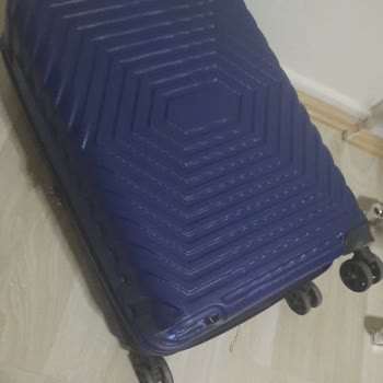 Pegasus Şirketi Bagaj Sorunu