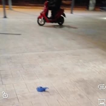 Kepez Kent Meydanı Memnuniyetsizliği