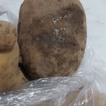 Migros Siparişlerde İnsanları Yanıltıp Telafi Yerine Dalga Geçiyor