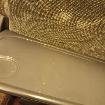 Kontur Otobüsünde Böcek Var