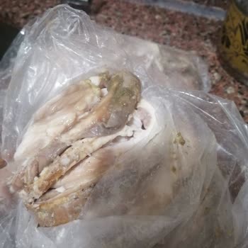 İzmir Kokoreç (Instagram:tarihi.izmir.kokoreci)'ten Şikayetçiyim