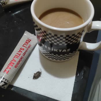 Nescafe İçinden Böcek Çıktı, Az Daha Yutacaktım Zor Çıkardım Ağzımdan
