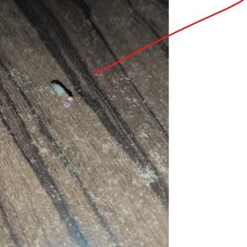 Banvit Marka Tavuk Dönerden Tırnak Çıktı