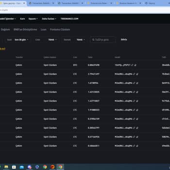Binance Güvenlik Açığı Ve SMS Gelmeden Onay