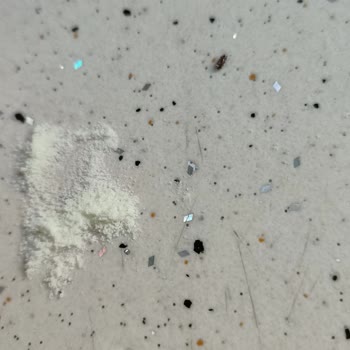 Aptamil 800 Gr Mama Böcek Çıktı