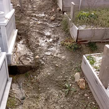 İBB - İstanbul Büyükşehir Belediyesi Büyükçekmece Tüyap Yeni Mezarlık