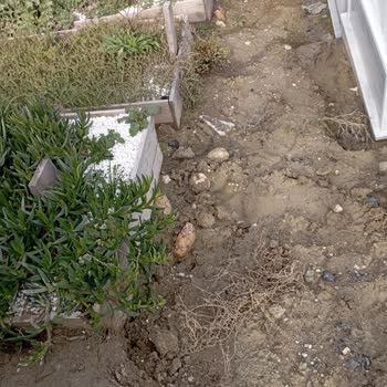 İBB - İstanbul Büyükşehir Belediyesi Büyükçekmece Tüyap Yeni Mezarlık