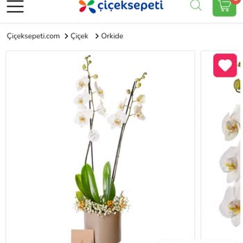 Çiçek Sepeti Gönderilen Ürün Görsel İle Aynı Değil