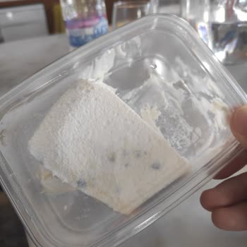 Sakıpağa Ürünleri Sakıpağa Kaymak Küflenme Problemi
