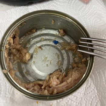 Migros Ton Balığı İçinde Yabancı Cisim